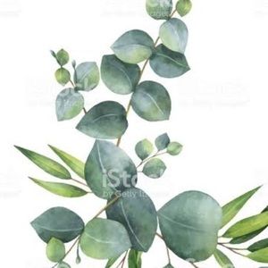 Meet your Posher, Ava